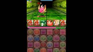 【パズドラ】ドラりん降臨 地獄級 ゴブリン×ゴブリンPT