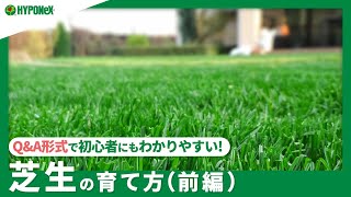 ☘269 ：【Q\u0026A】芝生の育て方＜前編＞｜芝生を植えつけるにあたっての、最適な時期や場所、種類や方法などのご紹介