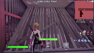 N猫のゲーム配信Fortnite練習