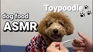 【ASMR】トイプードルがクッキーを食べる咀嚼音がたまらない【toy poodle】Dog snack eating sounds.