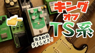 【TS系No.1決定戦!】ビンテージ、現行、最新人気機種を比較タメシビキ！ギター、アンプを選ばないOrigin Effects『 HALCYON（ハルシオン）』が強すぎる件！あなたの一台が見つかる動画