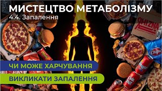 [ 4.4 ] Чи може харчування викликати запалення | Як виникають хронічні (латентні) запалення