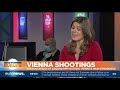 vienna shooting multiple suspects open fire in six different locations