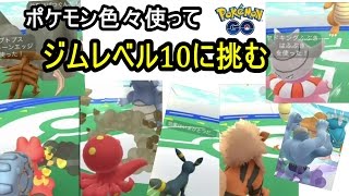 ジムレベル10に挑戦！（登場ポケモン盛りだくさん）