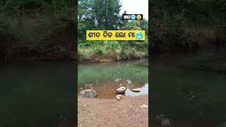 ଶୀତ ଦିନ କଥା 🥶// #funny #trending #winter #pushpa2 #comedy