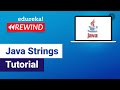 Java String tutorial | Java Projects for Beginners  | Java Certification | Edureka Rewind