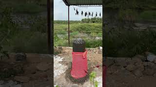 Might be VERY OLD SIVAN TEMPLE near my Farm ||  மிகவும் பழமையான சிவன் கோவிலாக இருக்கலாம்