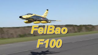 Chetan Saraf - FeiBao F100 - 3-20-2021