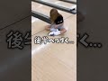 【事故】バイク女子ボウラーあいか🏍️🎳 bowling shorts shortvideo