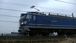 EF510-506牽引高速貨物　3097ﾚ　広島→新潟