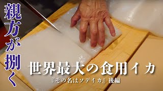 世界最大の食用イカ『そいつはソデイカ』後編