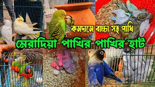 কম দামে বাচ্চা সহ পাখি এসেছে মেরাদিয়া পাখির হাটে |