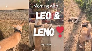 ലിയോക്ക് ലെനോ ജീവനാണ്😍❤ | LEO🐕 \u0026 LENO 🐈‍⬛ | Morning Vlog | MALAYALAM