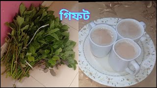 এত্তো গুলো গিফট পেলাম ||  মালাই চা || Amar pothchola