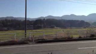 koi360.com: on the way to Nagaoka