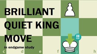 Endgame Study with a BRILLIANT quiet king move