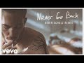 Dennis Lloyd, Robin Schulz - Never Go Back (Robin Schulz Remix) [Official Audio]