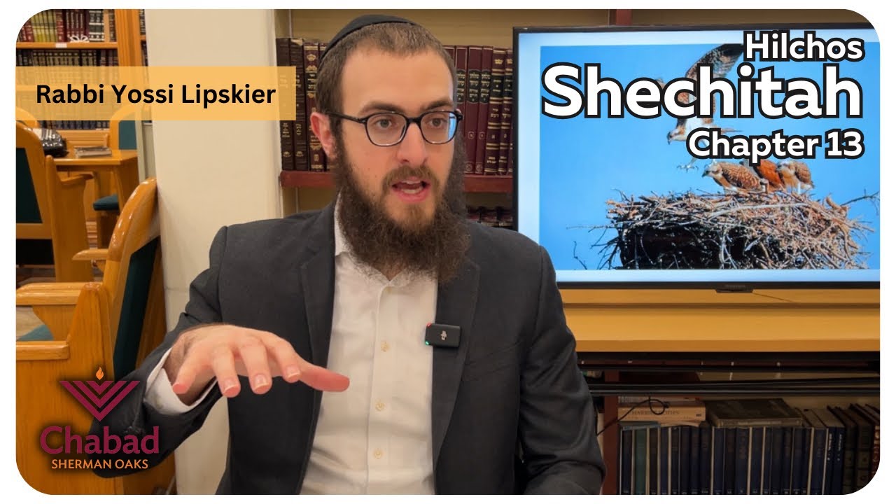 Rambam Hilchos Shechitah Chapter 13 Rabbi Yossi Lipskier Youtube