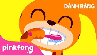 Cùng nhau đánh răng | Bài hát về thói quen lành mạnh | Pinkfong! Những bài hát cho trẻ em