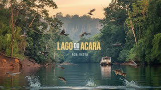 CONHEÇA O LAGO DO ACARÁ: UMA VIAGEM PELO CORAÇÃO DO AMAZONAS!✅🔥