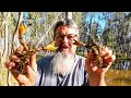 Unbelievely unbelievable yabbying with Holly | Unbelievable crawfishing for American viewers