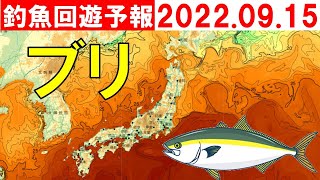 【2022年9月15日】釣魚回遊予報（ブリ）