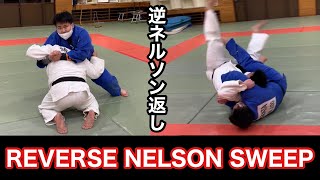 逆ネルソン返し　Reverse Nelson Sweep