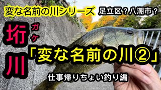 【東京バス釣り】崖はないけどガケ川でバス釣り。