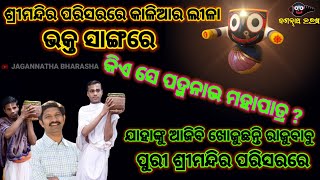 JAGANNATHA MAHIMA  କିଏ ସେ ପଦ୍ମନାଭ ମହାପାତ୍ର || LORD JAGANNATH || PURI || DIVOTIONAL ||