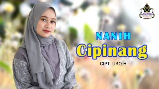 CIPINANG (Darso) - NANIH (Cover Pop Sunda)