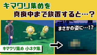 【ポケモンSV】キマワリ集め中にキマワリを夜中まで放置するとまさかの姿に…!? ゲームに隠れた細かすぎる小ネタ集【ポケットモンスター スカーレット・バイオレット】@レウンGameTV