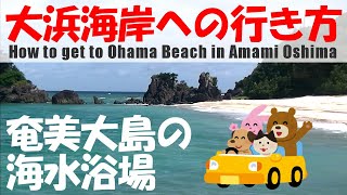 AEON → Drive to Ohama Beach and guide [Recommended spots on Amami Oshima]