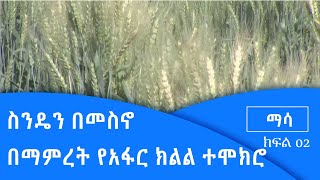 ማሳ- ስንዴን በመስኖ በማምረት የአፋር ክልል ተሞክሮ ክፍል ሁለት