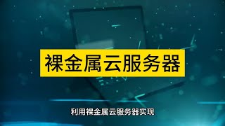 利用裸金属云服务器实现无与伦比的性能和可扩展性 - Raksmart