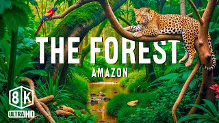 The Forest 8K UHD – Enjoy The Endless Green Of The Earth's Lungs