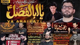Mir Hassan Mir New Nohay 2022 Full Album By KarbaLa 72 Abalfazl Title Mir Hasan Mir Nohay 2022