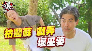 《多情大爆爆》多情城市 EP243 枯醫蘇 戲弄 壞巫婆