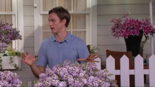 Roberta's 3-pc. Baby Border Chinese Summer Lilac Collection on QVC