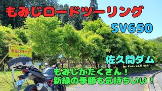 【SV650】 千葉県もみじロードツーリング ～佐久間ダム＆道の駅とみうら－WA・O！和田浦～