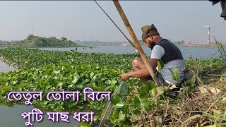 এই শীতে টানে টানে পুটি মাছ ধরা / #HookFishing #Fish #Rasel_Vlog_Fishing_Lover