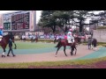 2017年02月08日　東京競馬場８Ｒパドック　藤田菜七子騎手