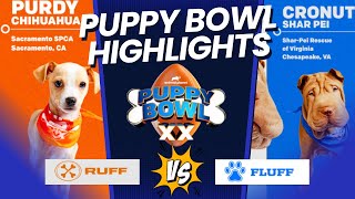 Puppy Bowl 20: Best Moments & Highlights | Puppy Bowl 2024
