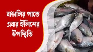 বাঙালির পাতে এবার ইলিশের উপস্থিতি