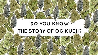 Meet OG Kush, the most famous cannabis strain