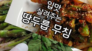 입맛살려주는 땅두릅 무침.두릅 고추장무침.