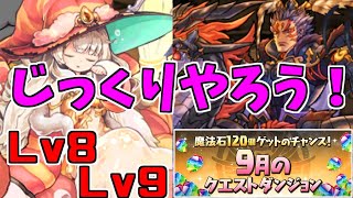 【9月クエスト2023】Lv8.Lv9-固定チーム～8と9の差がすんごいｗ～【パズドラ実況】