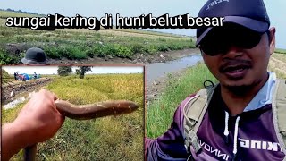 setiap tiga langkah ada lubang belut