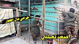 تحشيش حرامي الطيور يلزم بالسطح