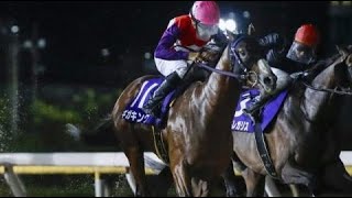 フリオーソレジェンドカップ 　ダ1800m (左) 　ギガキング　牡5　57.0　和田譲治　2023.8.9　　出走馬：ロードレガリス、スワーヴアラミス、キーピリオッド、ロードゴラッソ他