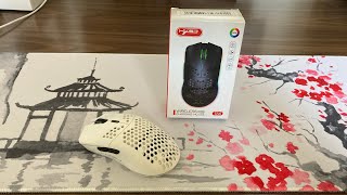 HXSJ T66 Wireless Honeycomb RGB Gaming Mouse Unboxing + Review